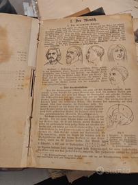 libro antico  Naturgeschichte