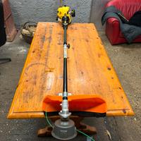 Decespugliatore tagliabordi