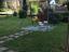 Immagine 12