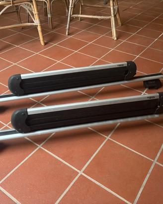 Barre portatutto con portasci