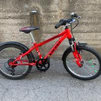 Bici bambino Vicini 20”