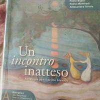Un incontro inatteso A