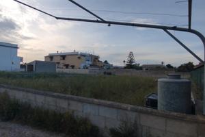 Terreno edificabile Pulsano