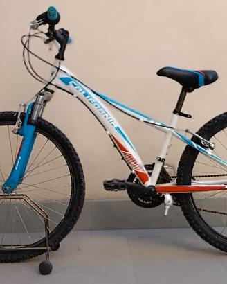 Bici BH California