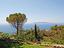 Immagine 30