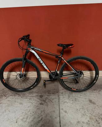 Bicicletta Bicystar Mountain bike