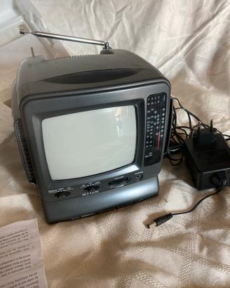TV portatile per auto