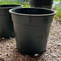 Vasi per piante di colore verde