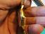 Immagine 5