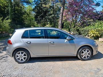 VOLKSWAGEN GOLF VII 1.6 TDI 110CV