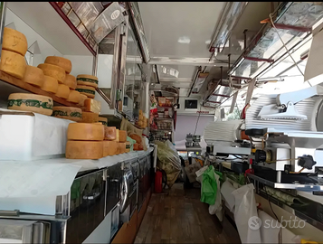 1996 Minonzio primavera