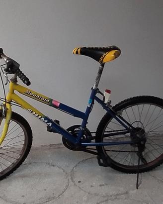  Bicicletta MTB  vintage