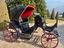 Immagine 7