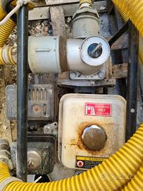 Pompa per irrigazione orto/giardino