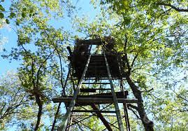 capanno di caccia ai colombi