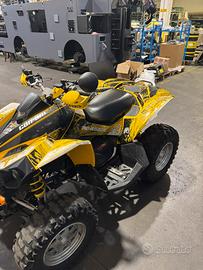 Can-am Redegade 500