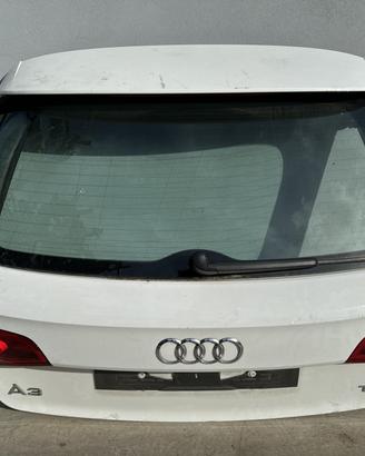 PORTELLONE POSTERIORE COMPLETO AUDI A3 Serie (8V1)