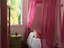 Immagine 11