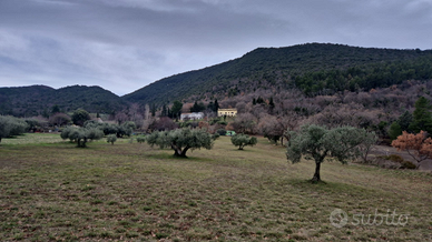 Appezzamento di terreno