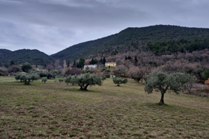 Appezzamento di terreno