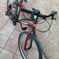 Bici mtb da ragazzi 
