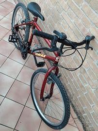 Bici mtb da ragazzi 