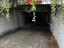 Immagine 9