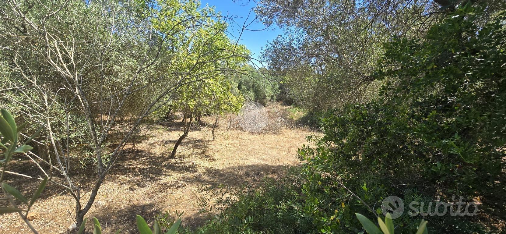 TER. RESIDENZIALE A SASSARI - Vista 4