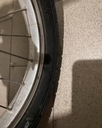 Bicicletta