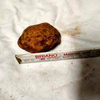 fossili 