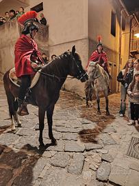Super pony