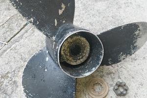 Elica evinrude johnson