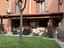 Immagine 14