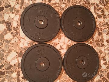 dischi ghisa domyos 10kg 