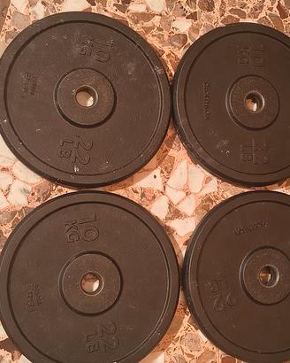 dischi ghisa domyos 10kg 