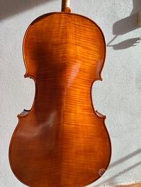 violoncello