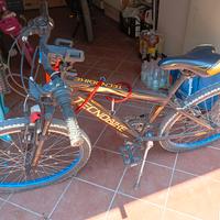 bicicletta 