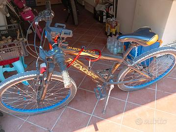 bicicletta 