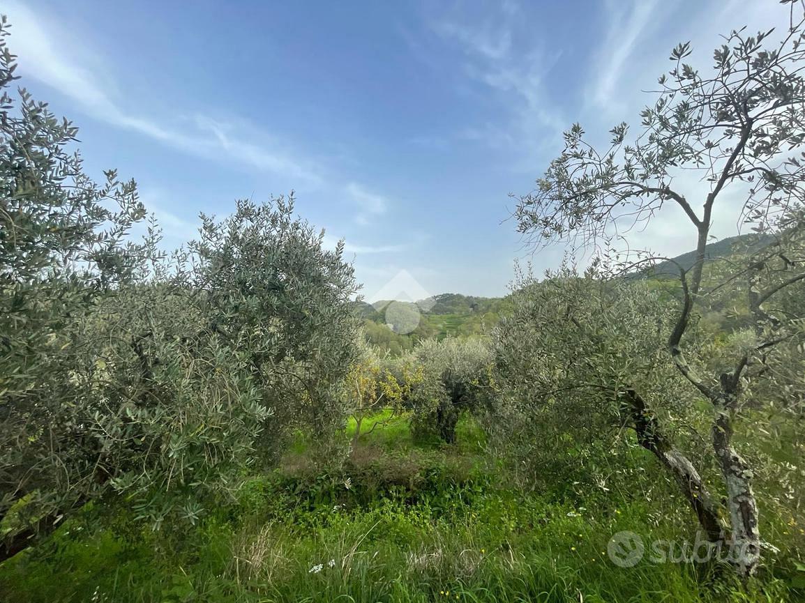 TER. AGRICOLO A PIEVE A NIEVOLE - Vista 3