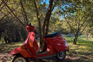 vespa pk 50 xl 