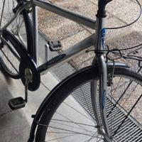 bicicletta da uomo