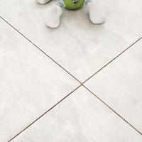 Rocky dei Paw Patrol