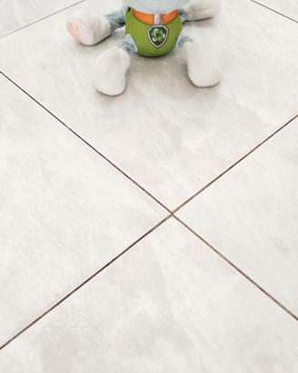 Rocky dei Paw Patrol