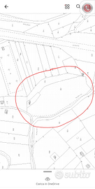 Terreno agricolo a stazzano con accesso carrabile