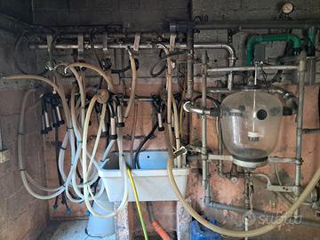 impianto mungitura e trasporto latte sottovuoto 