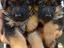 Immagine 19