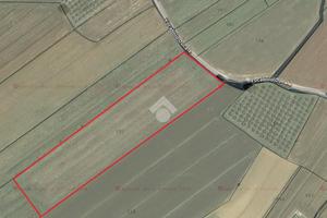 TER. AGRICOLO A CANNARA