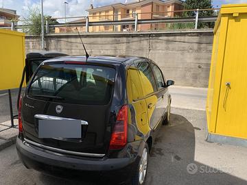 Lancia musa
