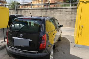 Lancia musa