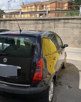 Lancia musa